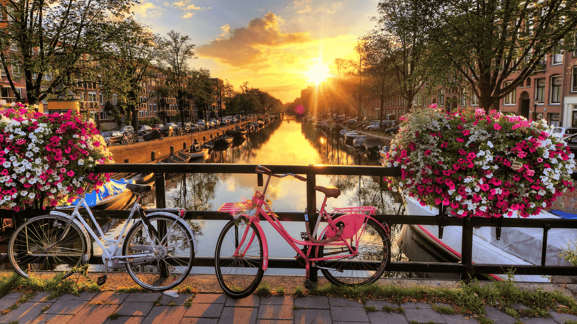 _AmsterdaNetherlands