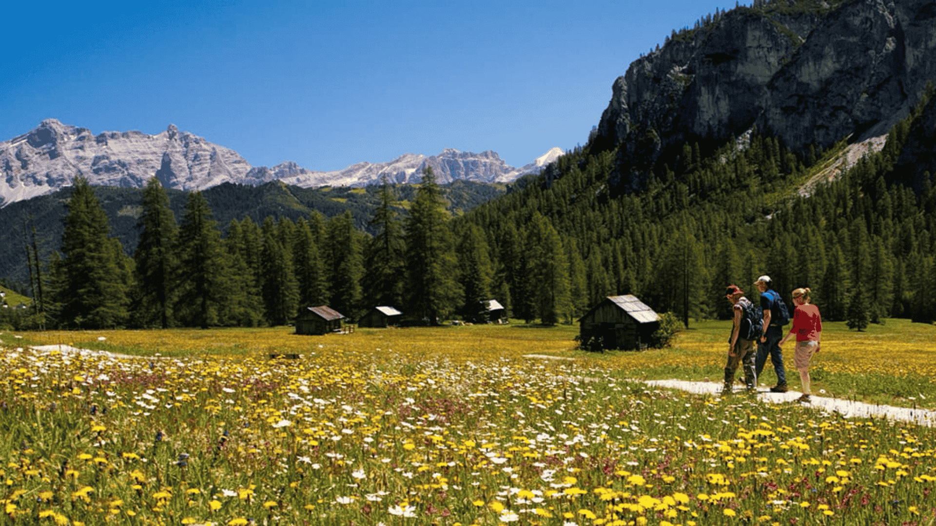 Best-Time-to-Visit