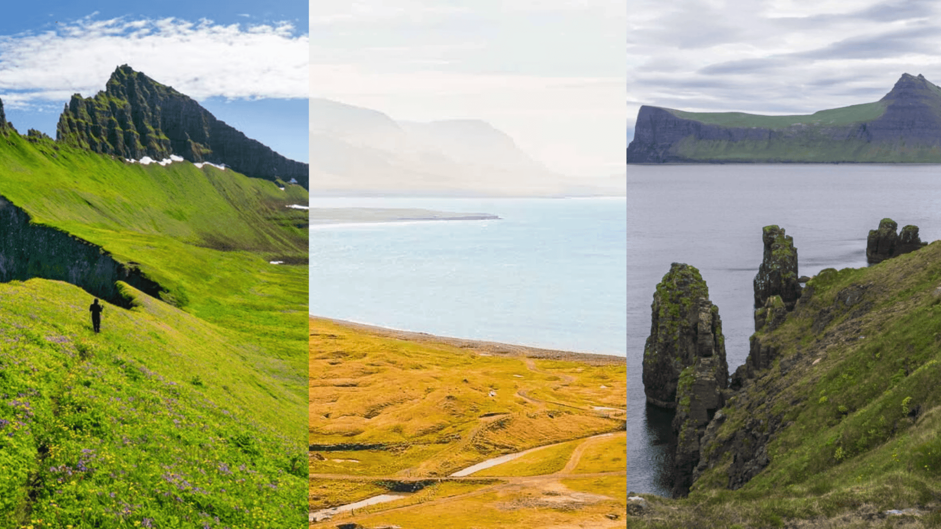 Coastal Fjords