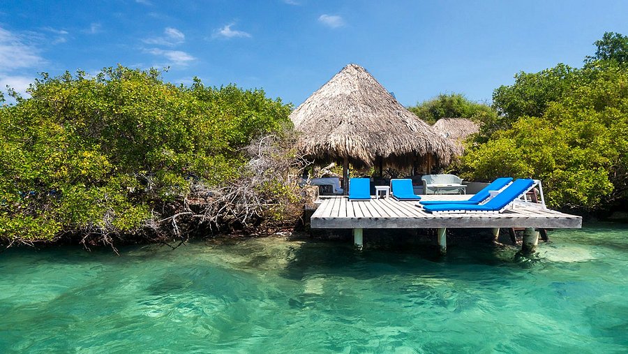 Coralina-Island.png