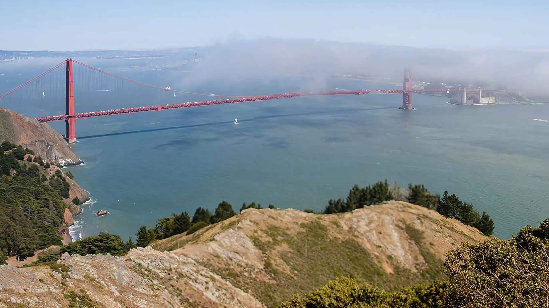 Hawk Hill