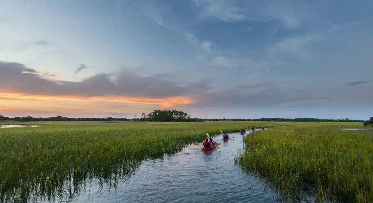 Kayak Through the Marshes

