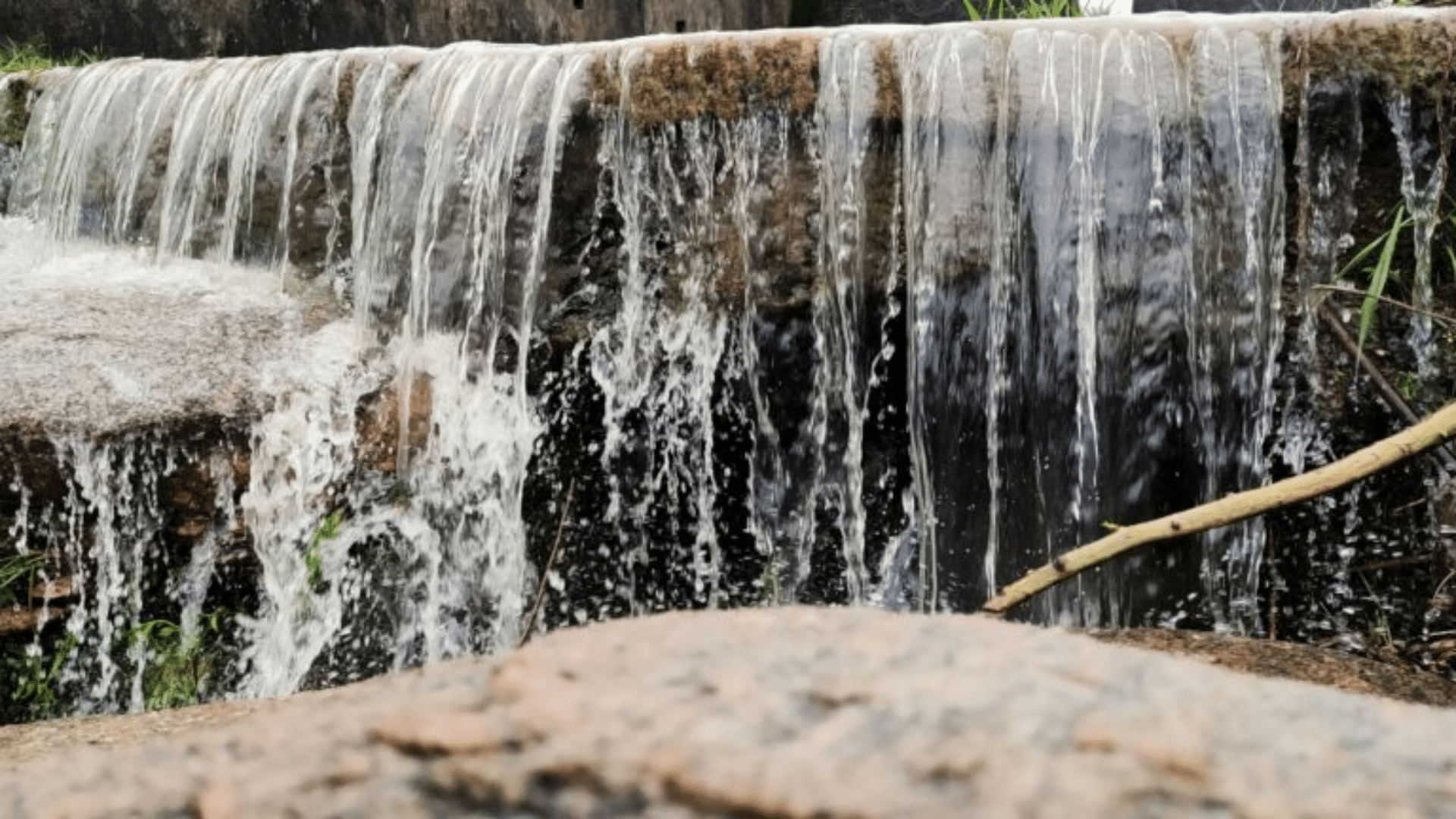 Louisiana’s Rare Waterfall Find