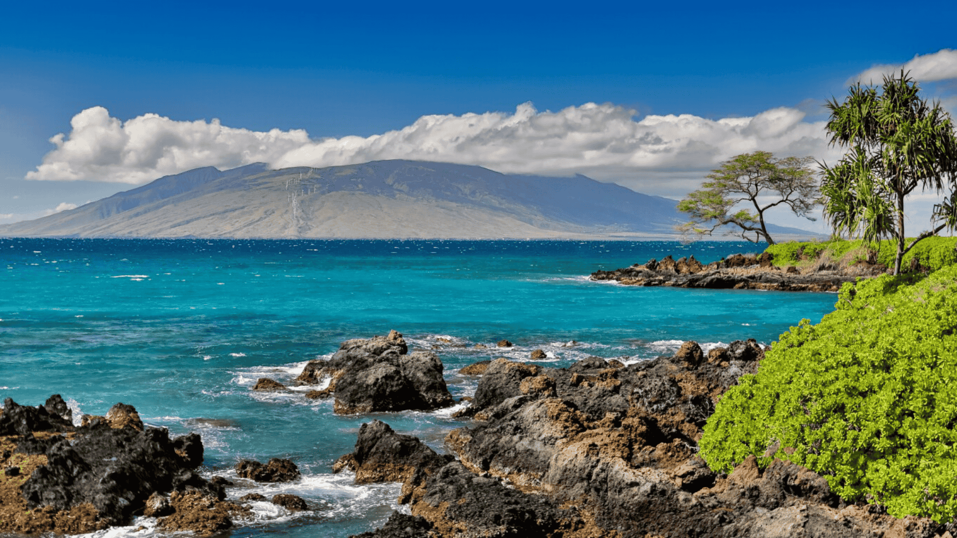 Maui