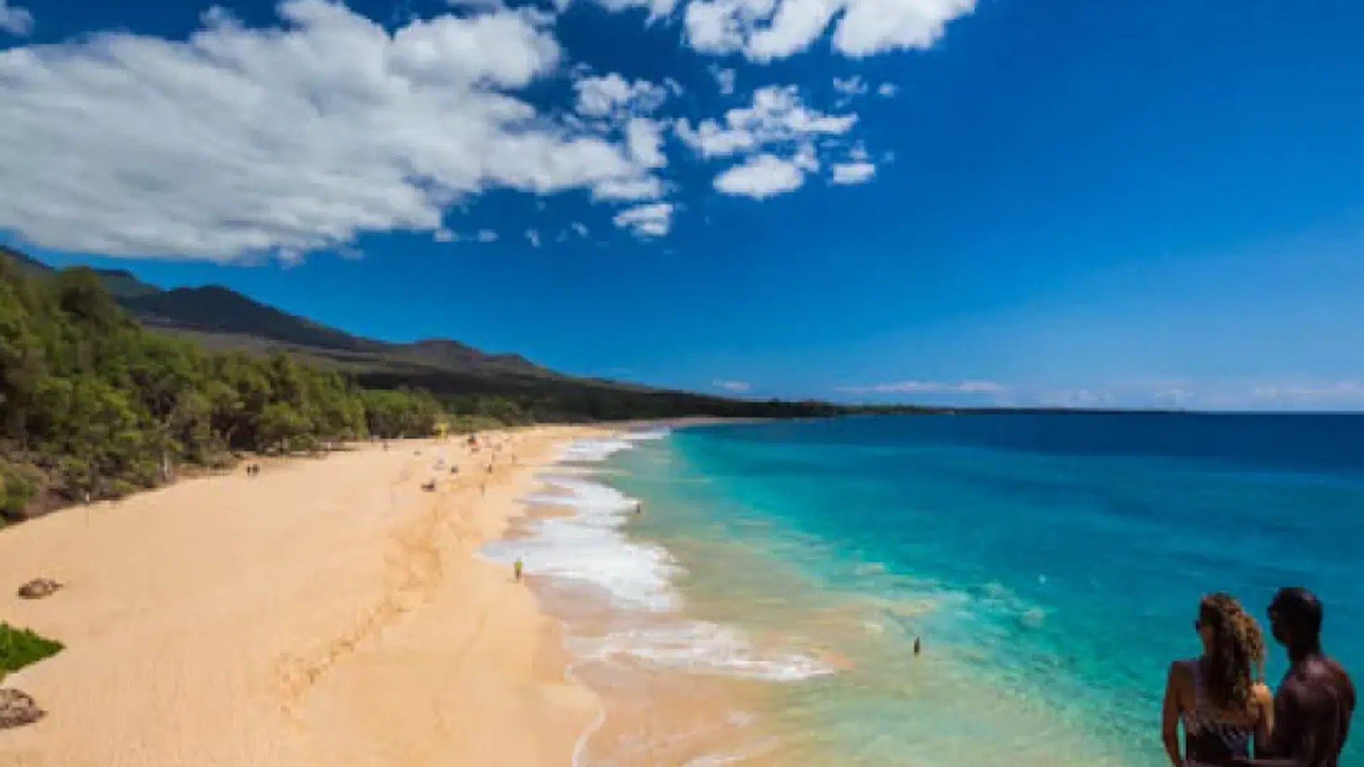 Maui (Hawaii)
