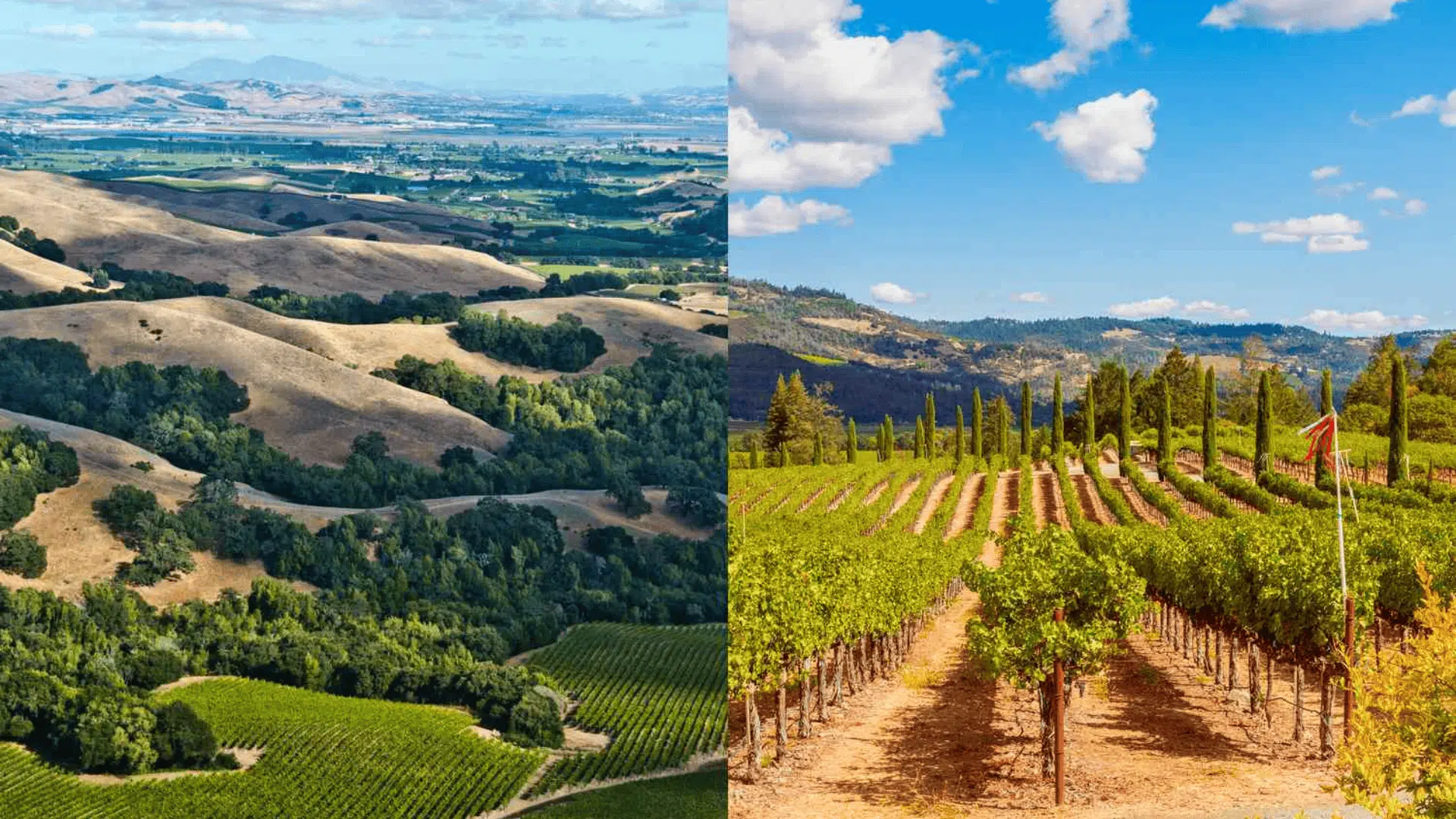 Napa-and-Sonoma-California