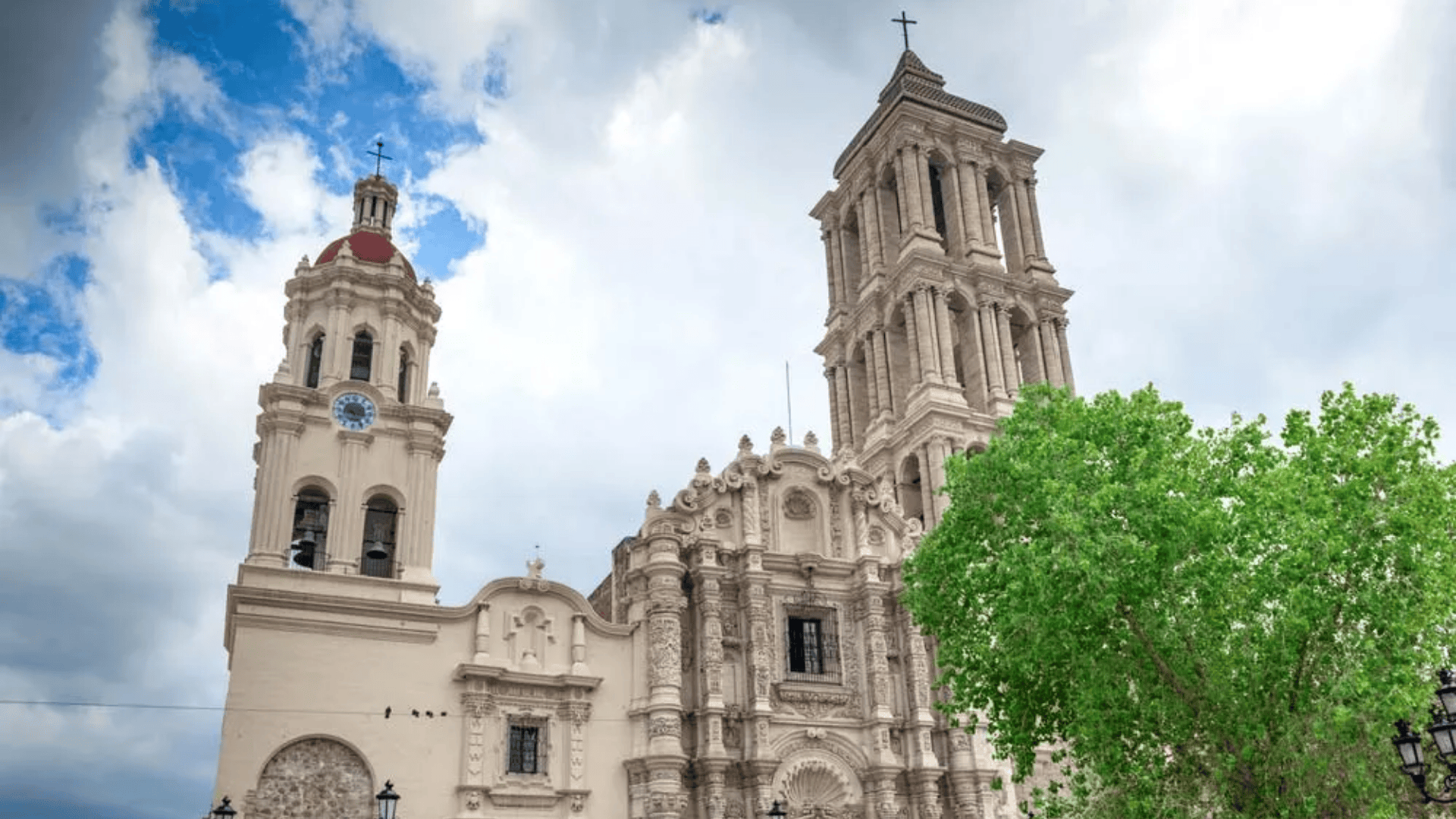 Saltillo