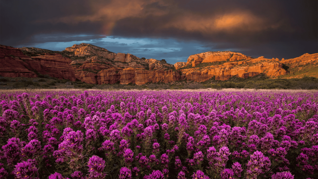 Sedona-Arizona