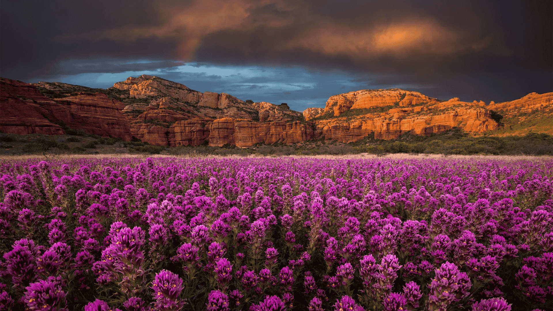 Sedona-Arizona