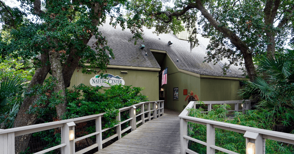 Take a Guided Nature Walk