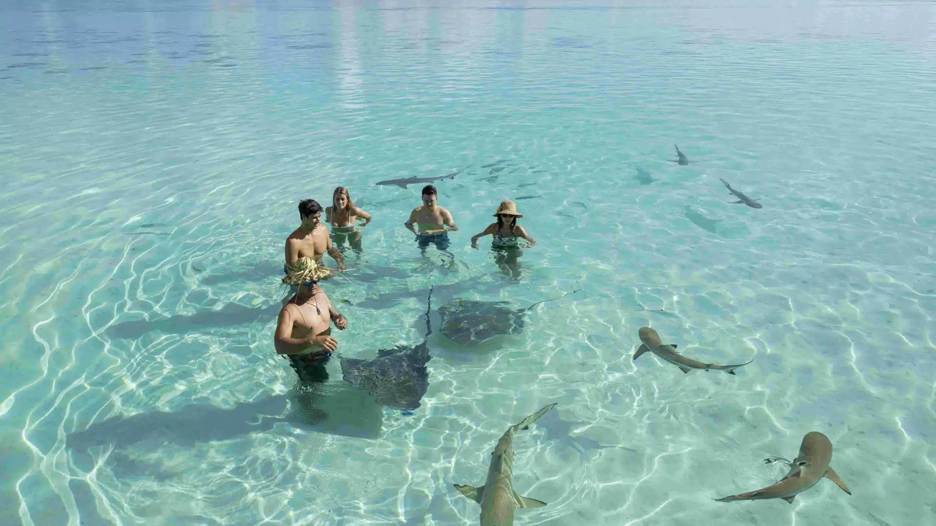 Things-to-Do-in-Moorea.png