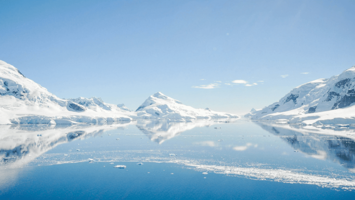 Visit Antarctica