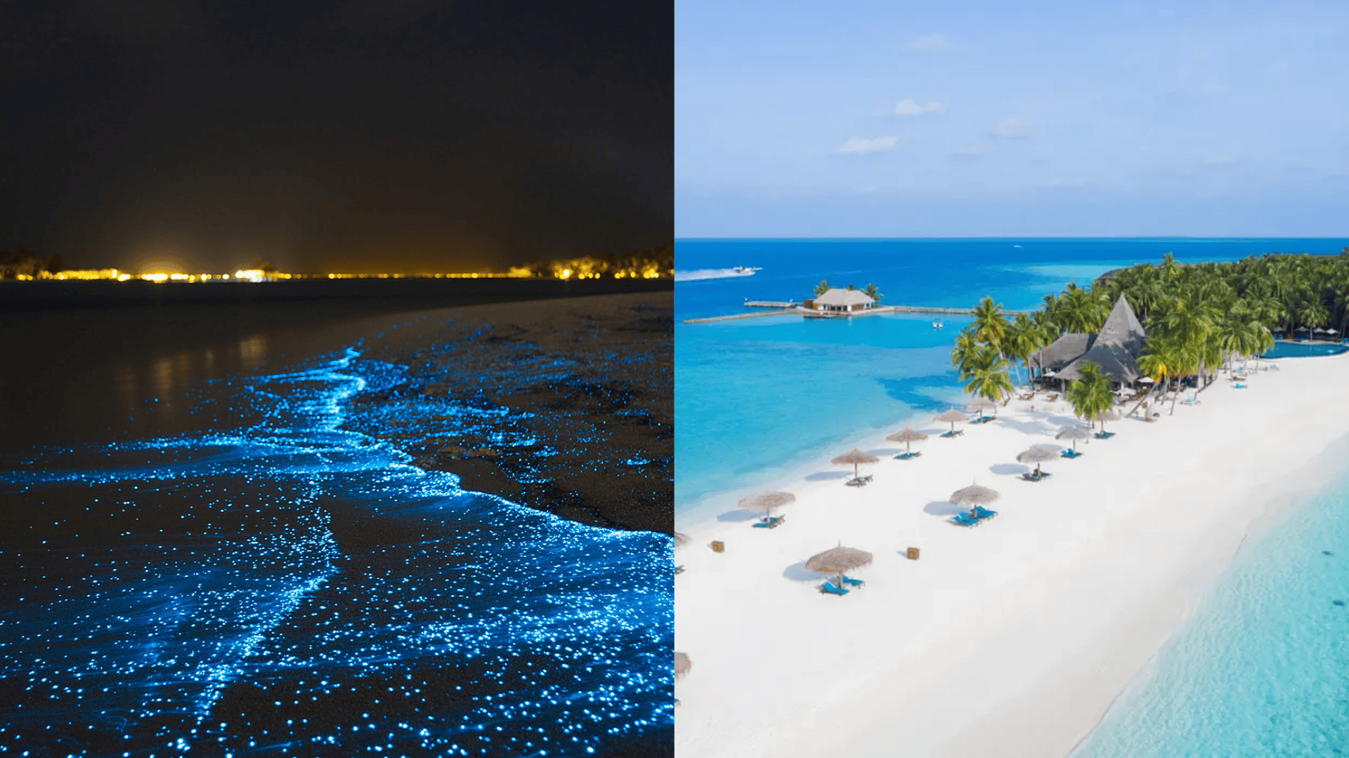 Why Visit the Maldives?