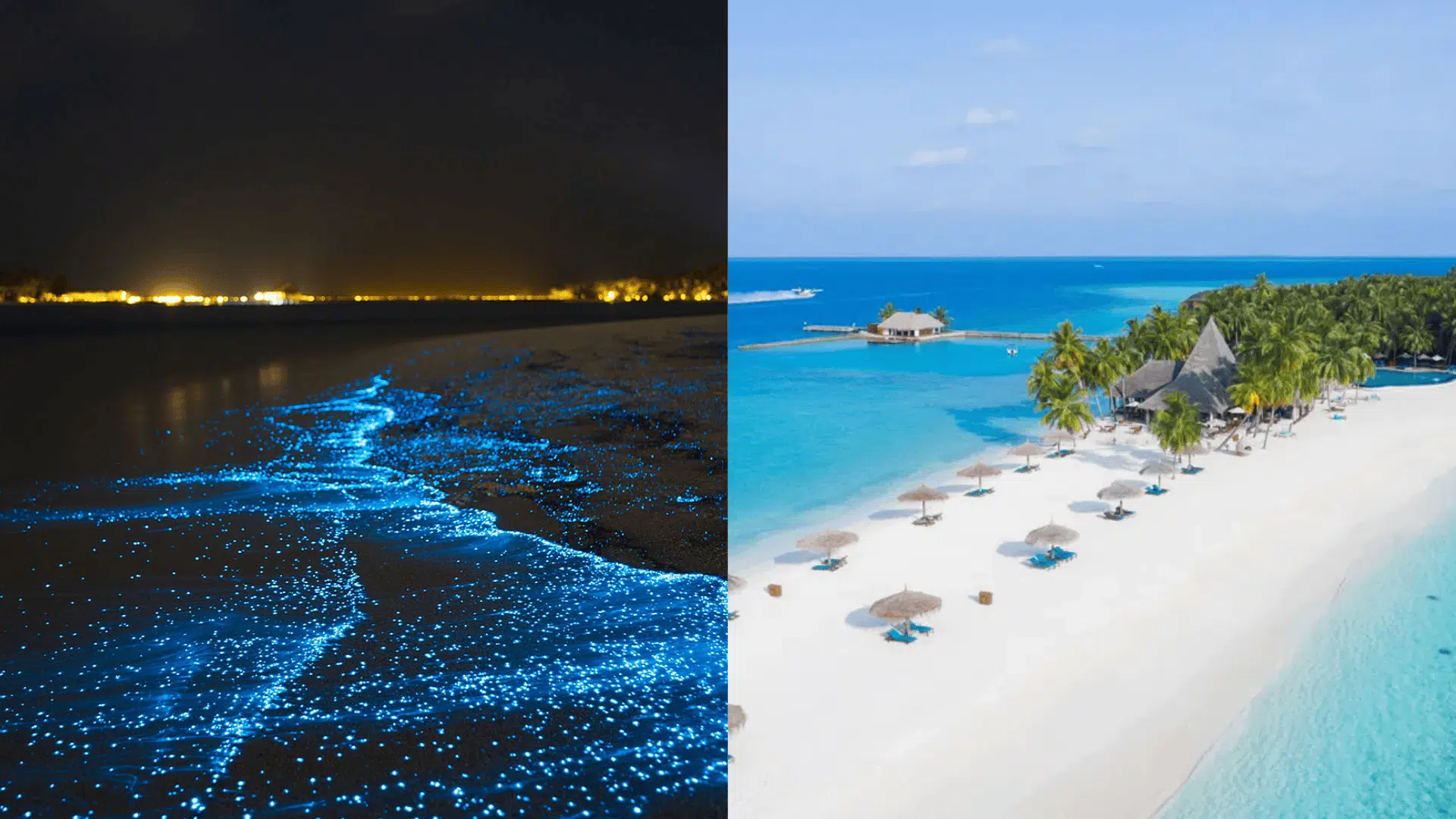 Why Visit the Maldives?
