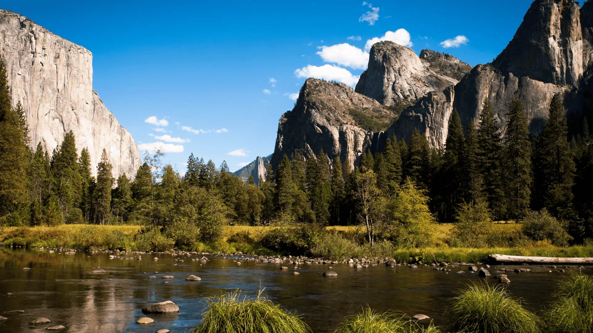 Yosemite National Park (California)

