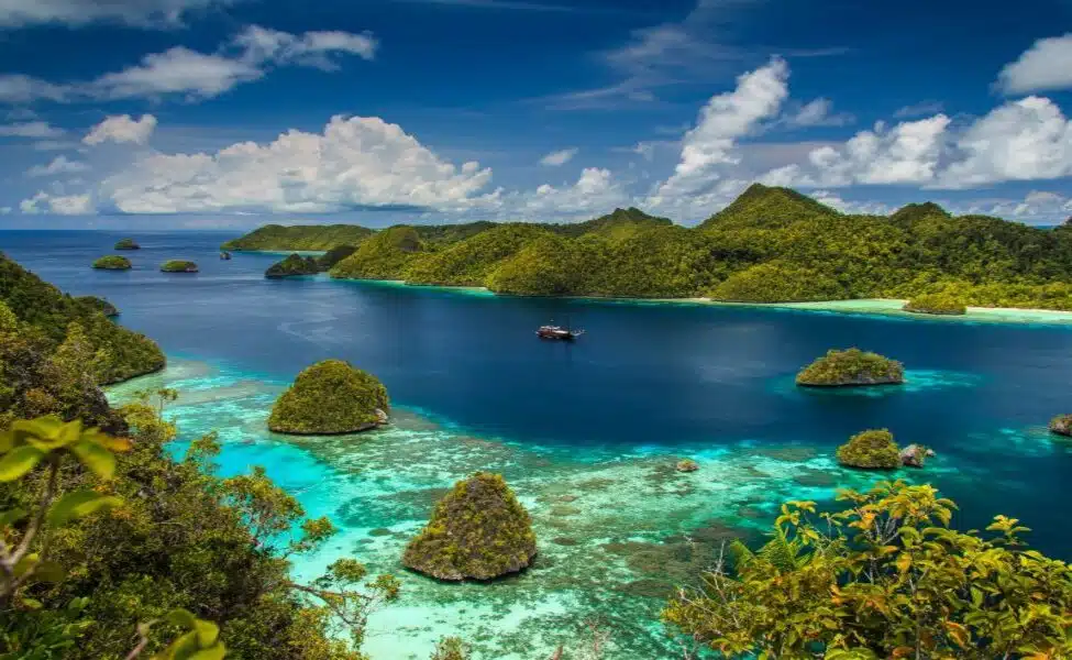 raja-ampat-islands.png