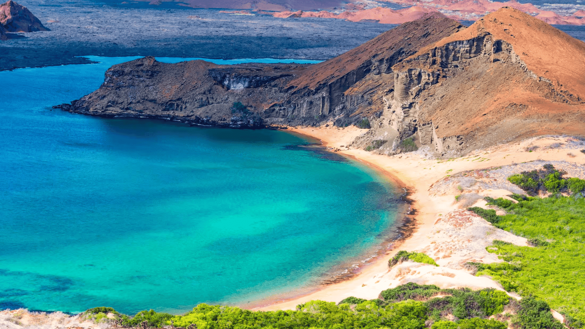 Galápagos Islands Ecuador
