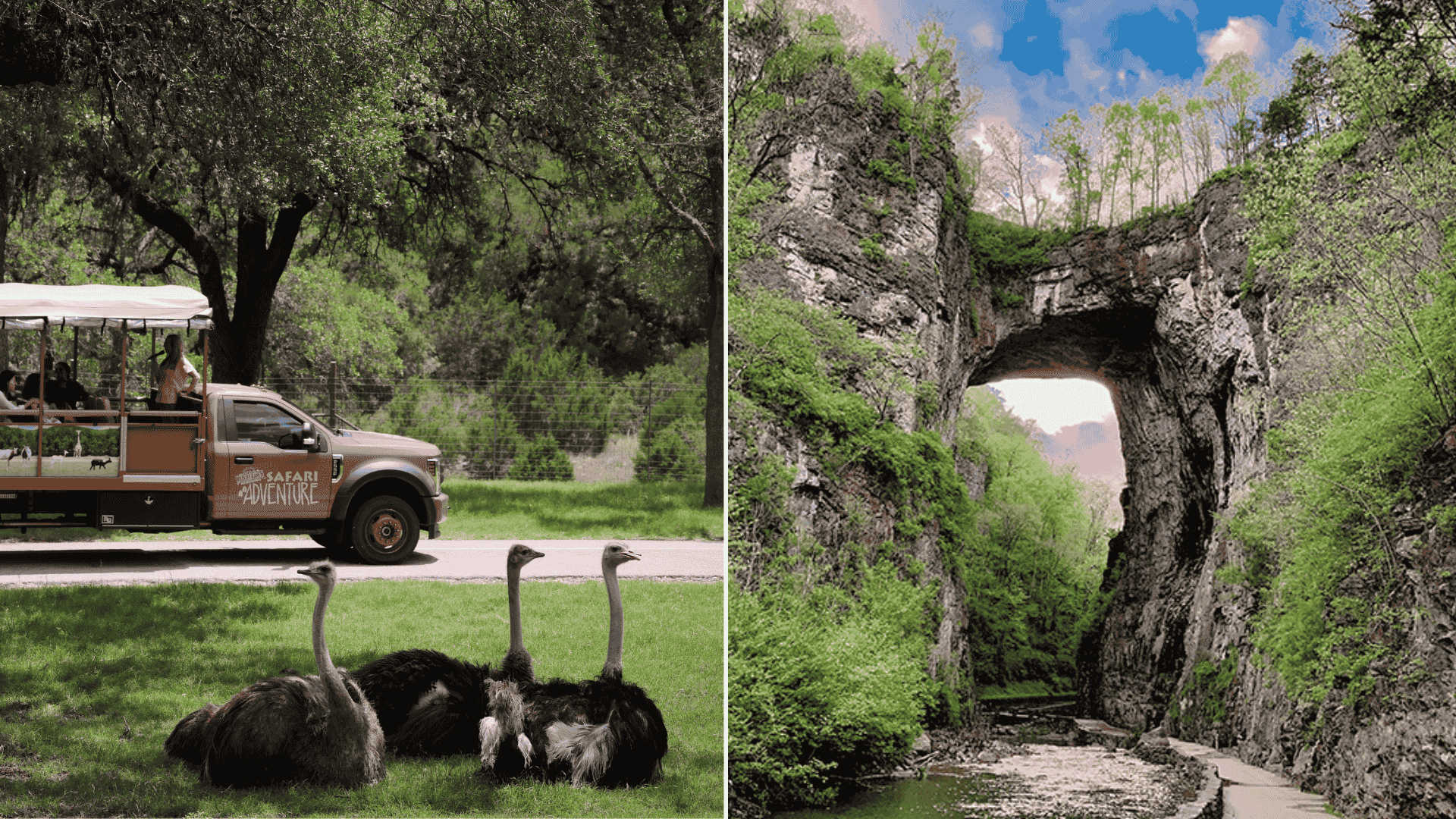 Natural Bridge and Safari Park