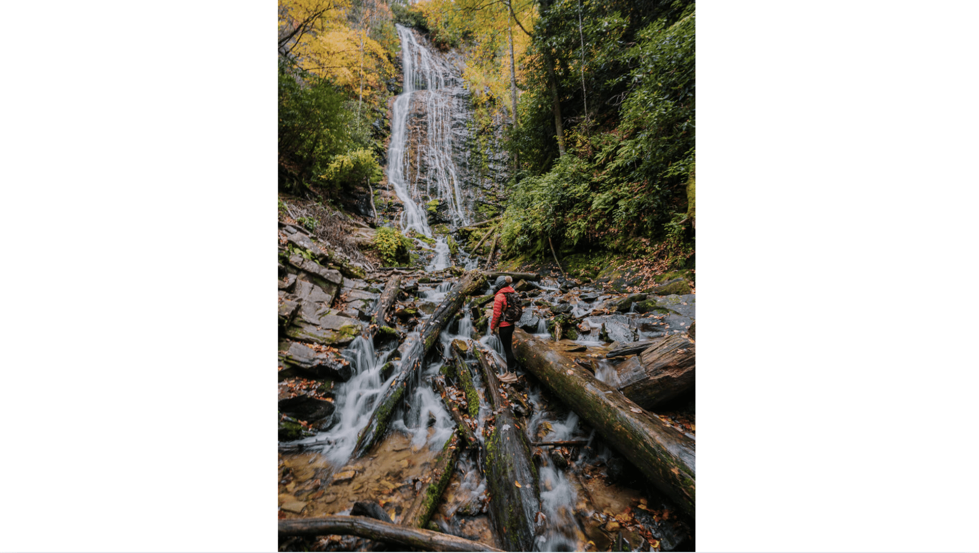 North Carolina’s Must-See Waterfall Hikes