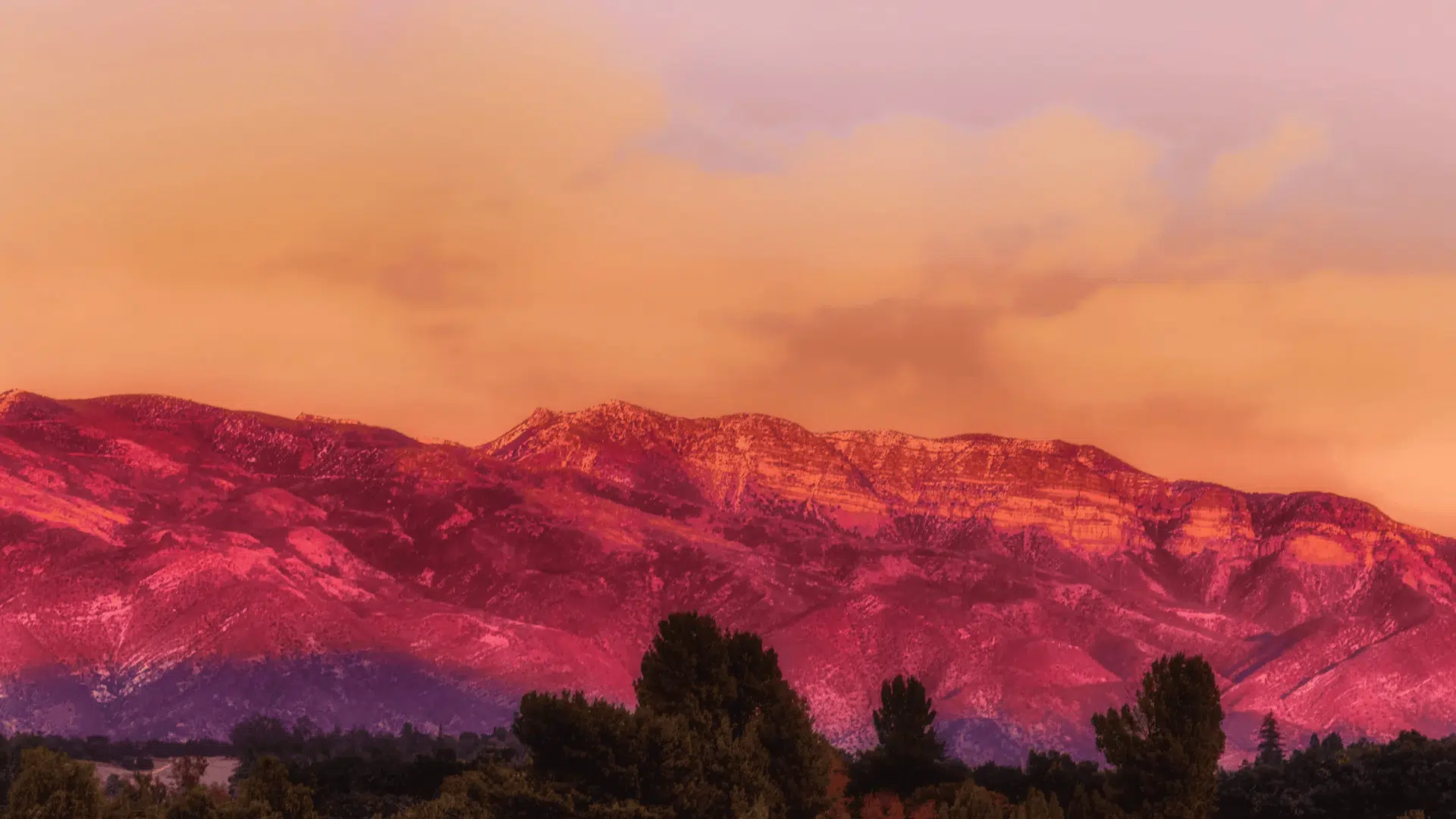 Pink Moment in Ojai