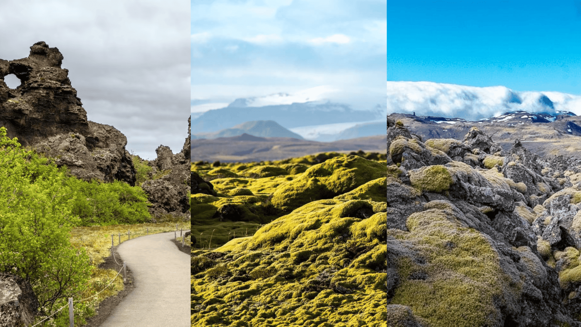 lava fields in iceland