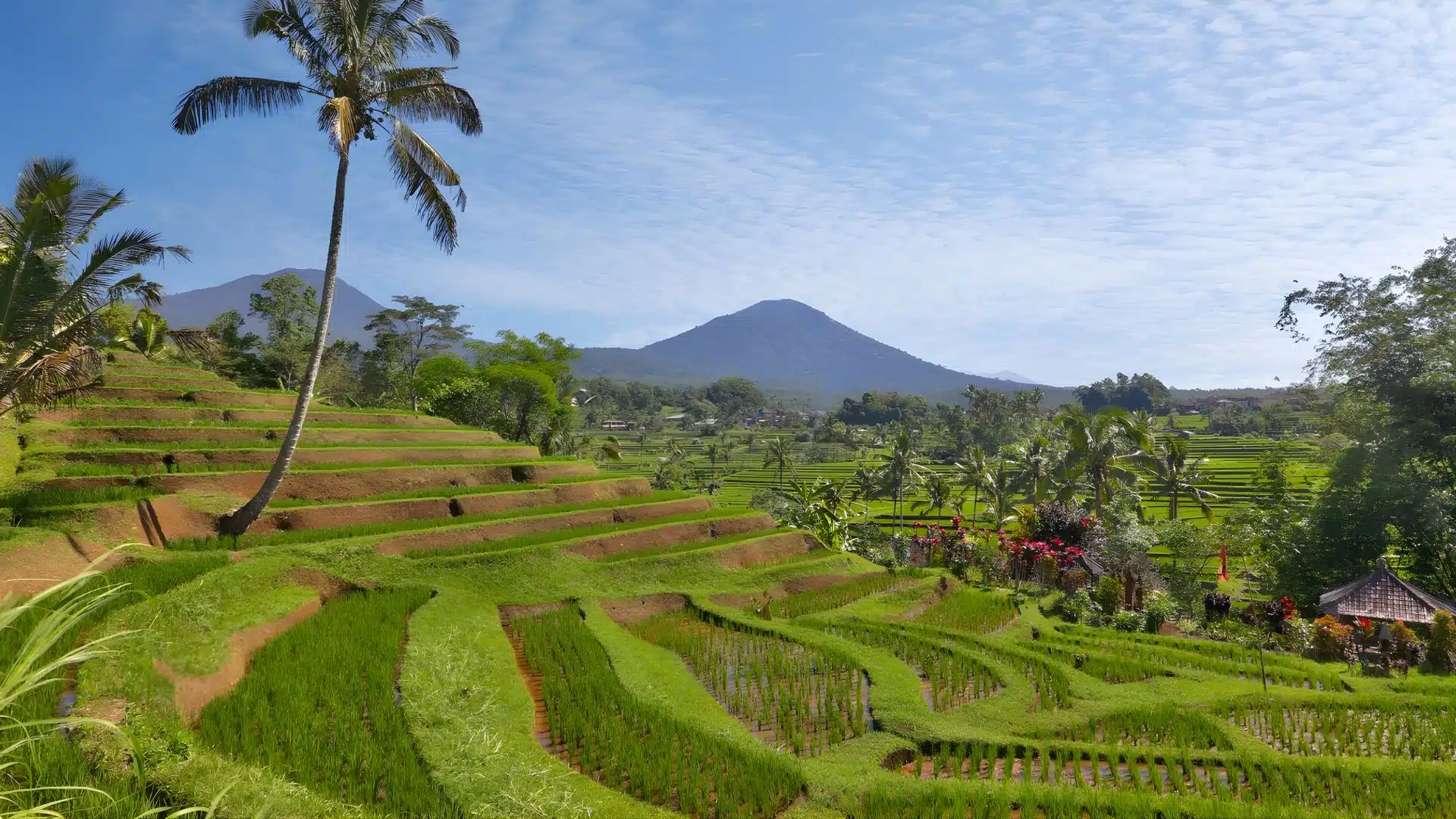 bali indonesia travel destination