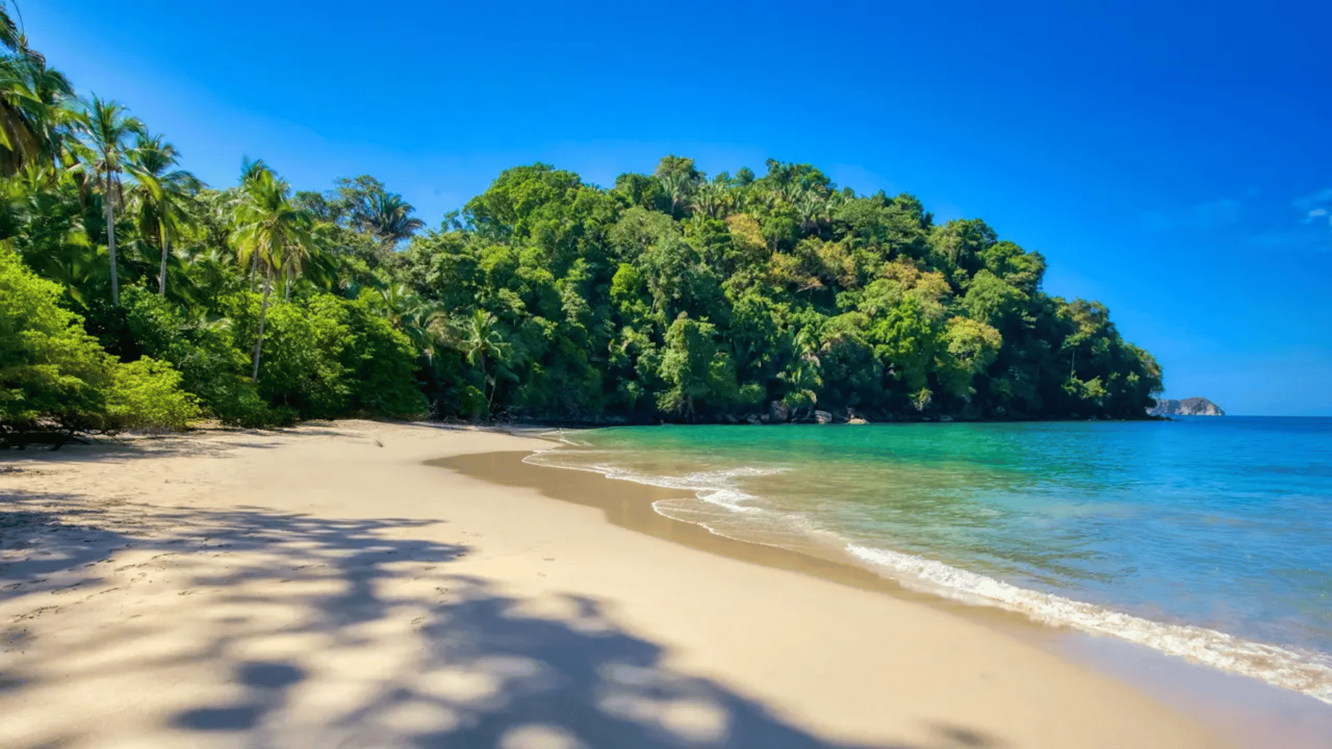 costa rica beaches costa rica