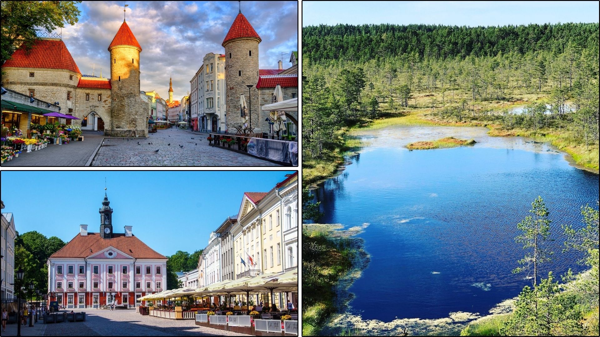 estonia baltic retreat