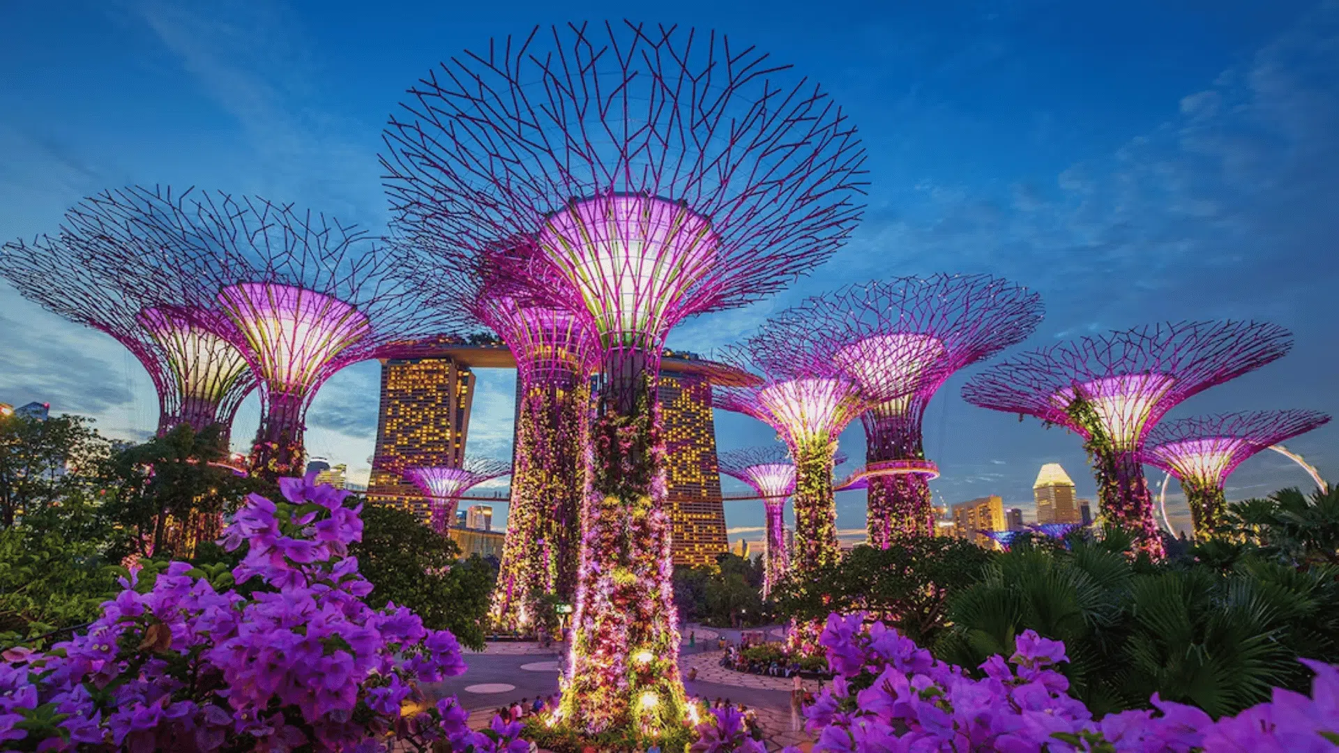 garden by the bay singapore