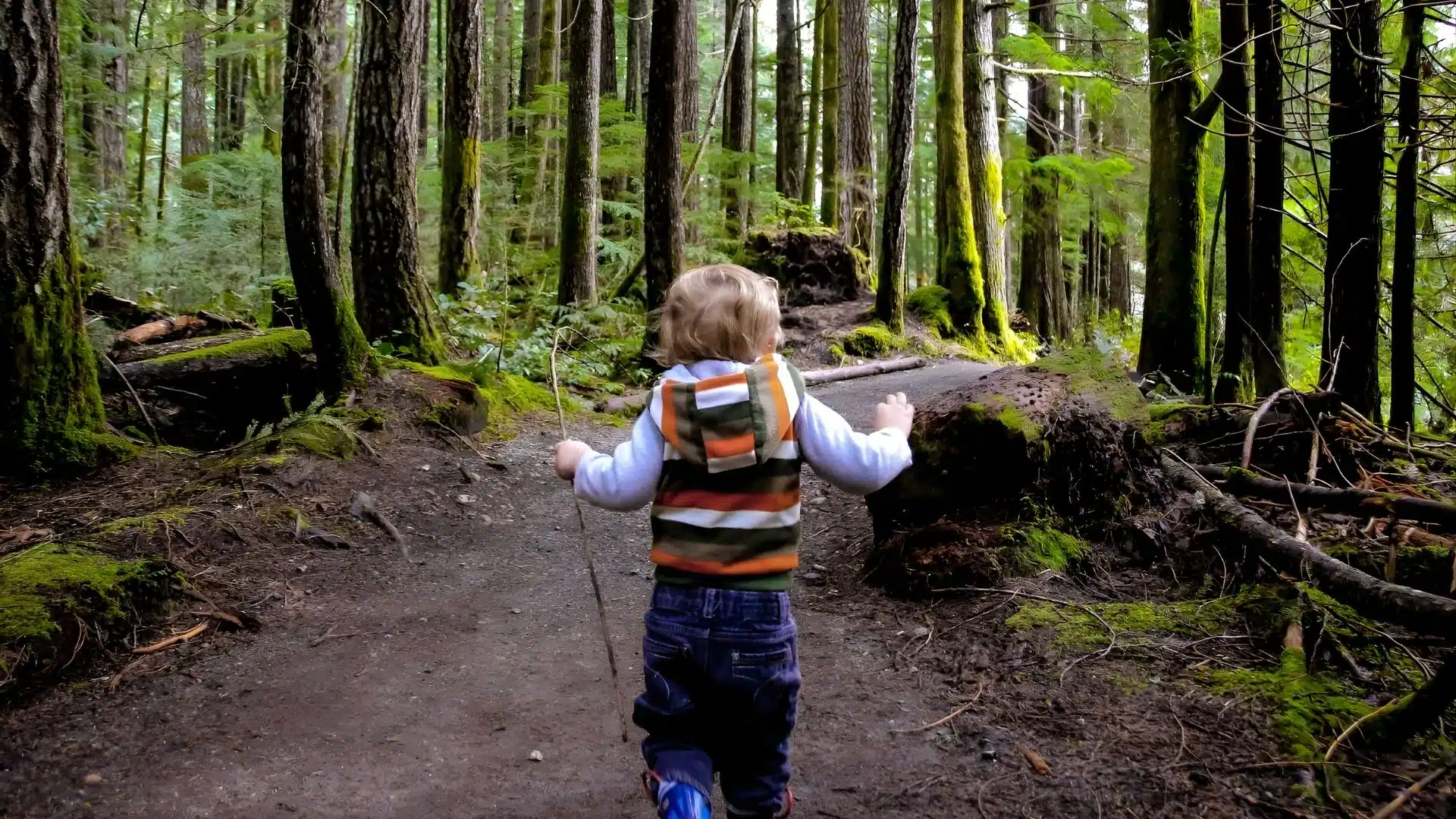 hiking with toddlers