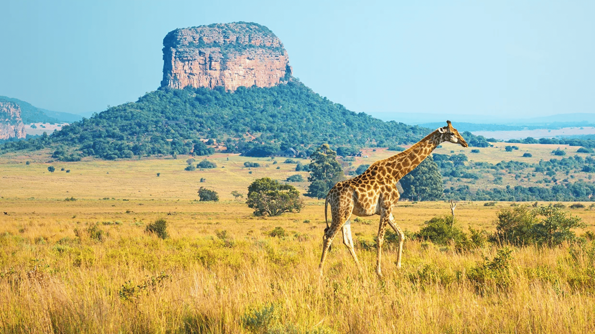 kruger national park south africa