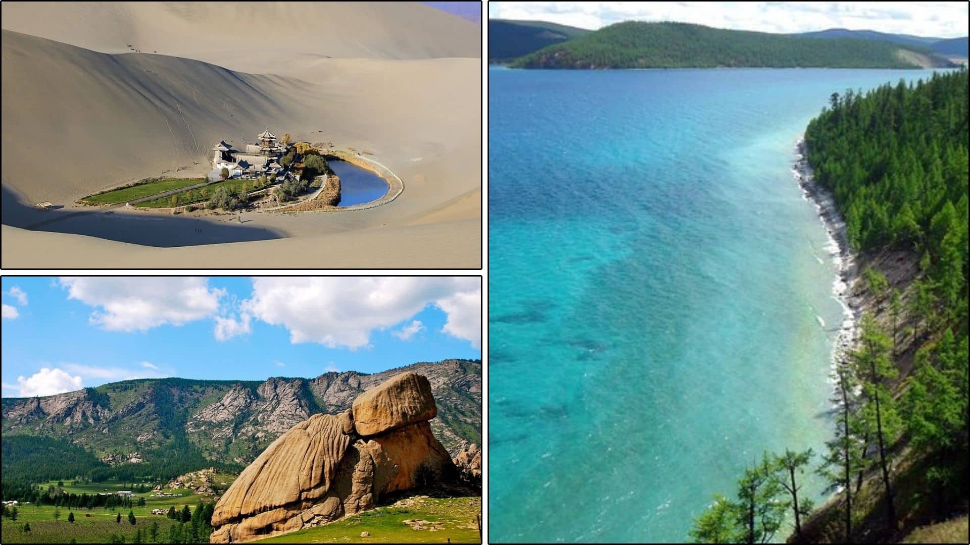 mongolia wide openlands