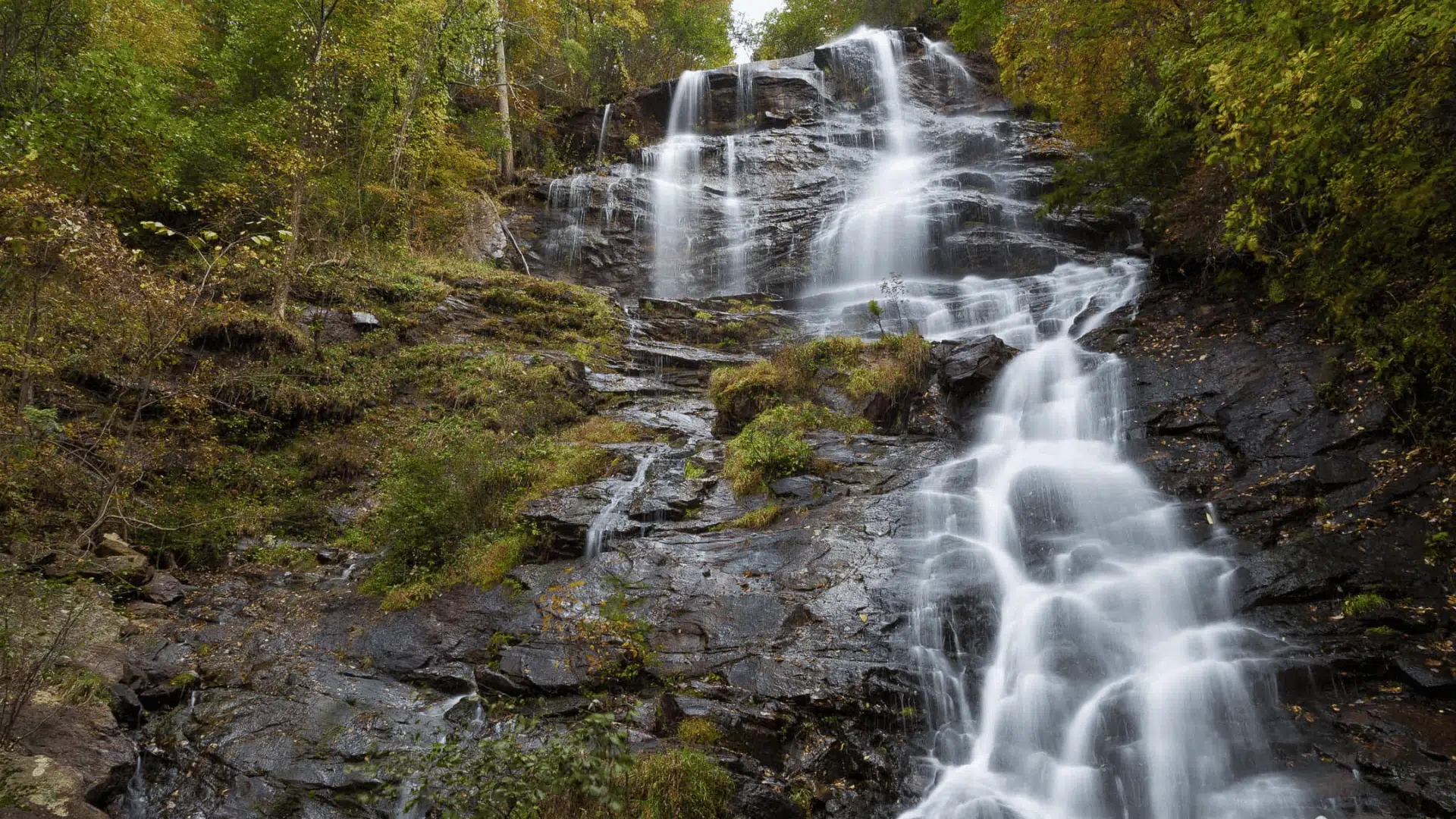 amicalola falls state park