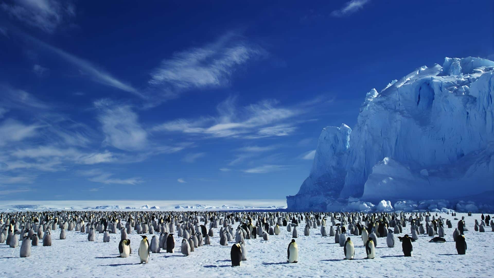 antarctica ice landscape