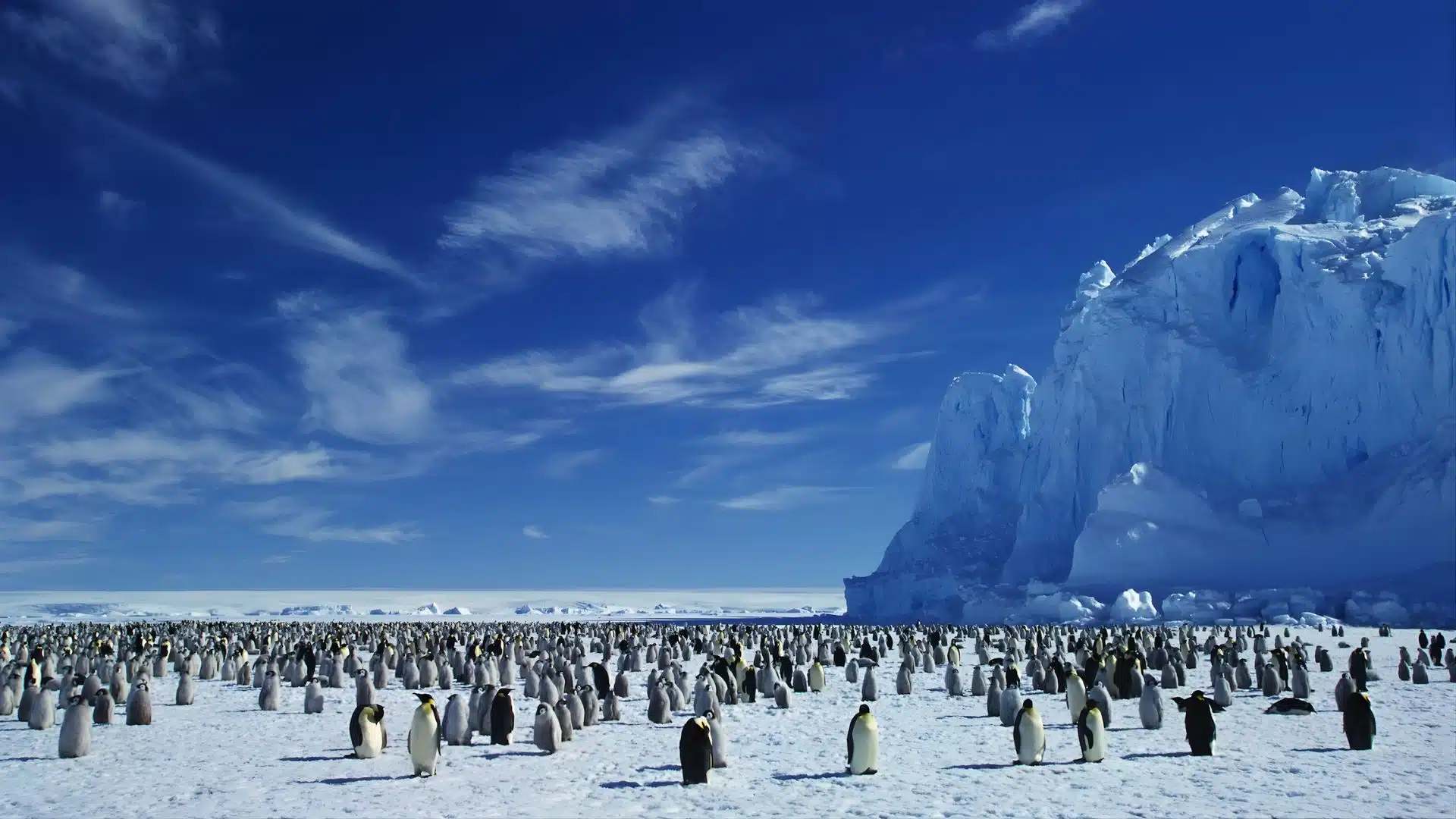 antarctica ice landscape