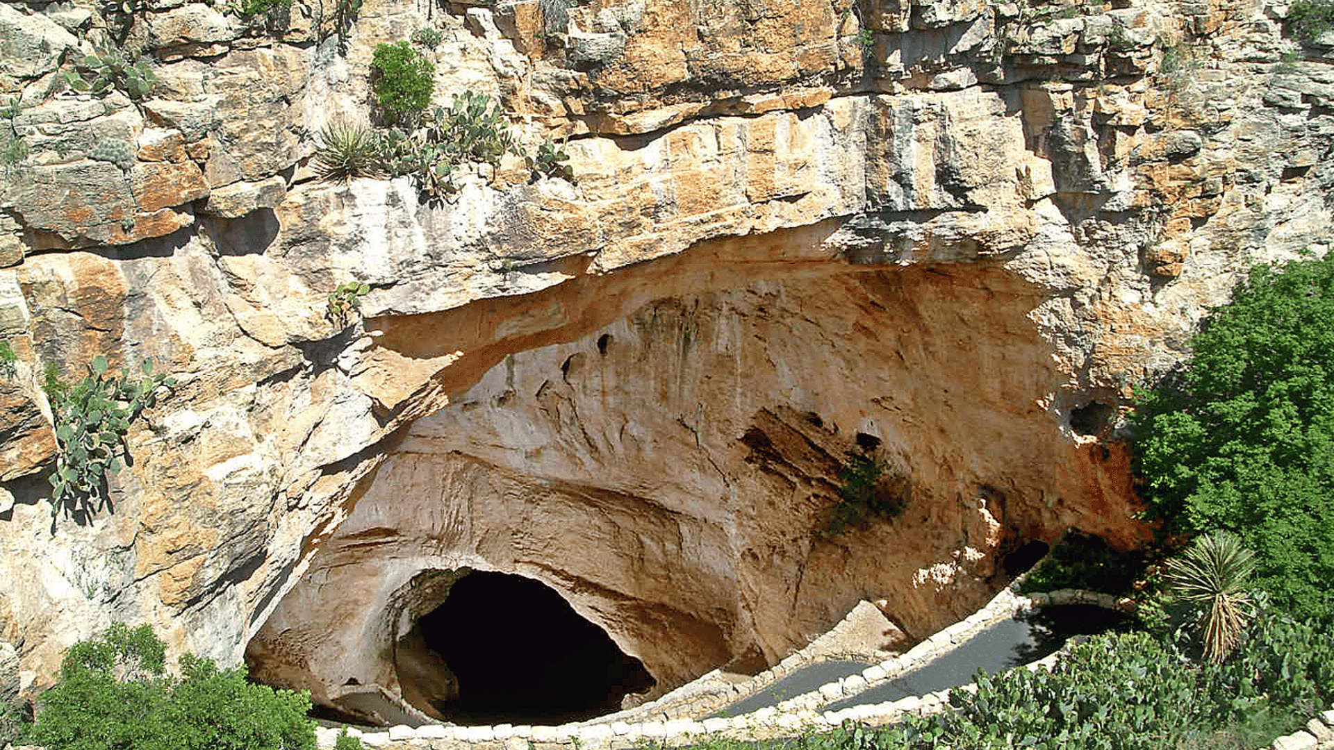 carlsbad caverns new mexico
