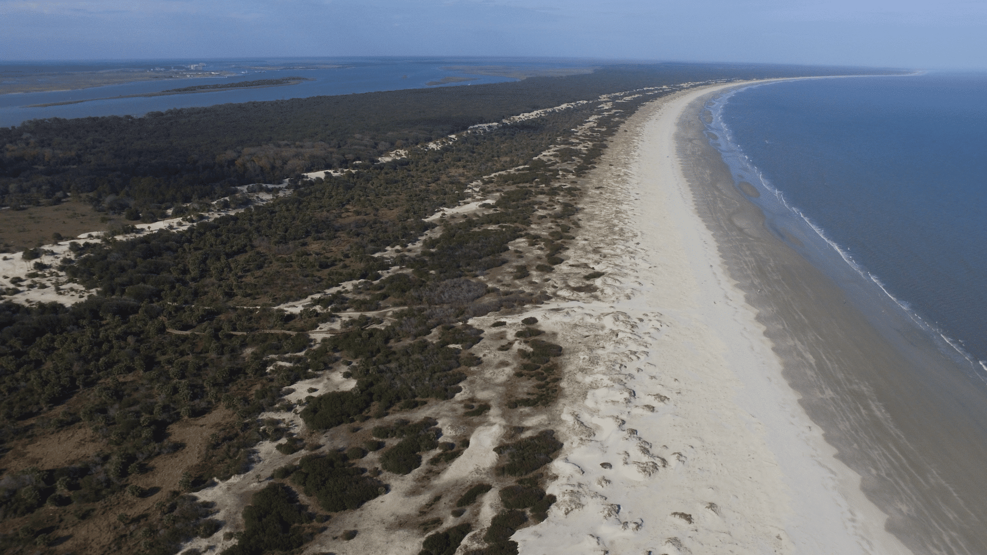 cumberland island national seashore