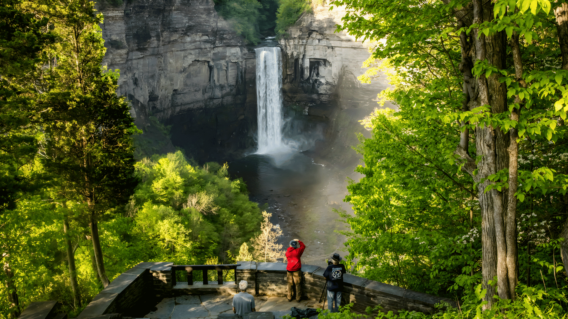 finger lakes new york