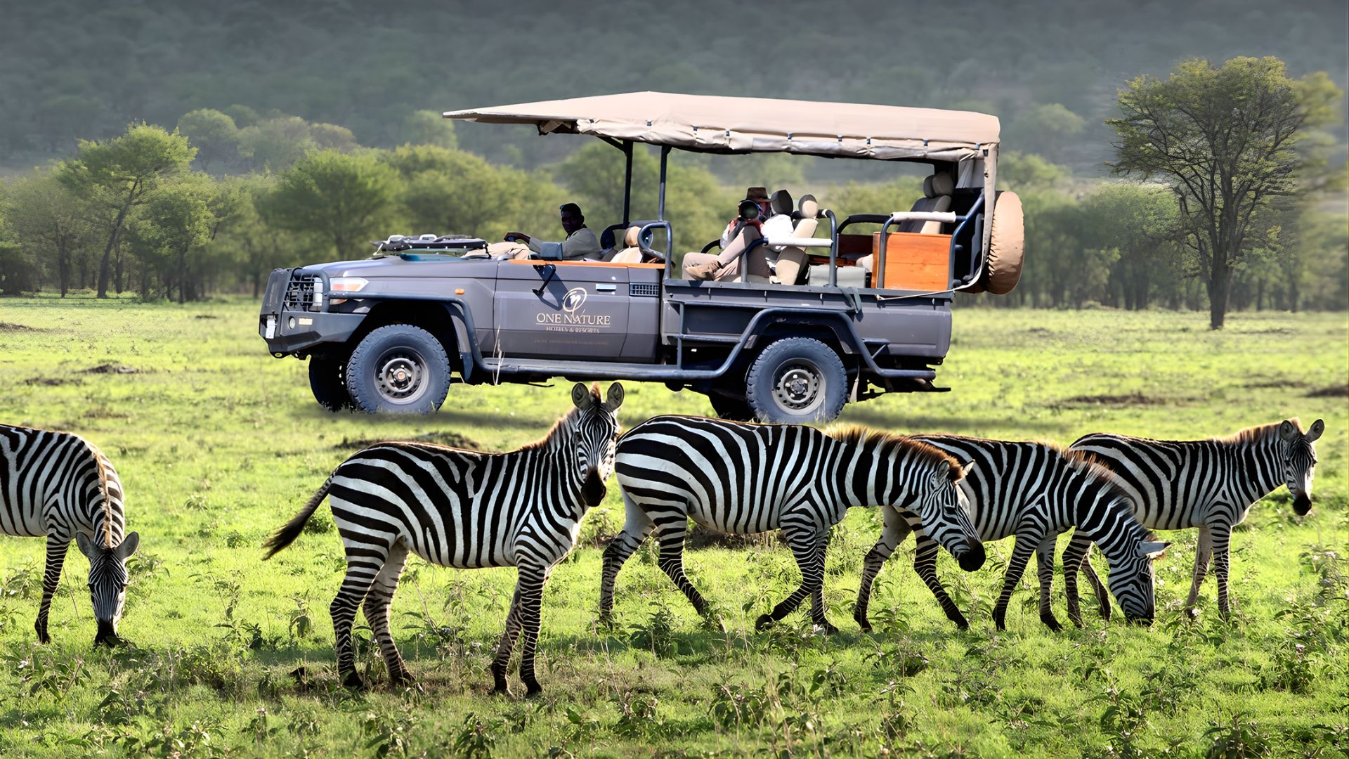 serengeti national park