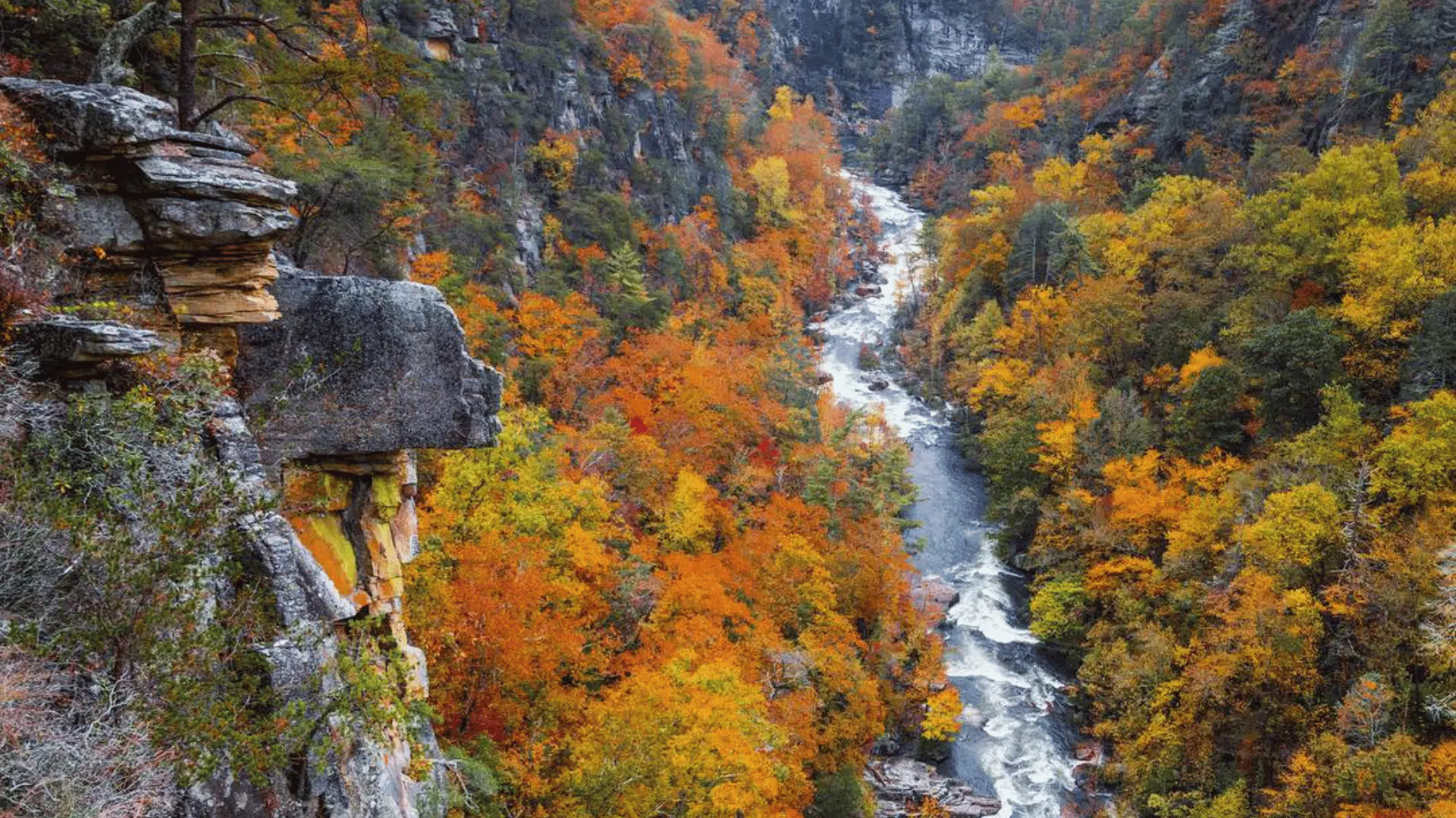 tallulah gorge state park