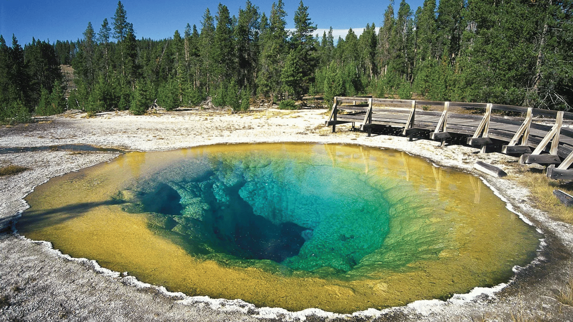 yellowstone national park wyoming